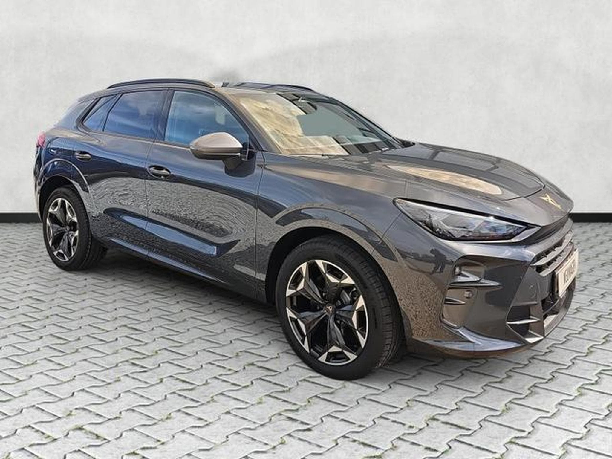 Cupra Terramar 2.0 TSI 195 kW 4Drive VZ (2026) - Foto 1