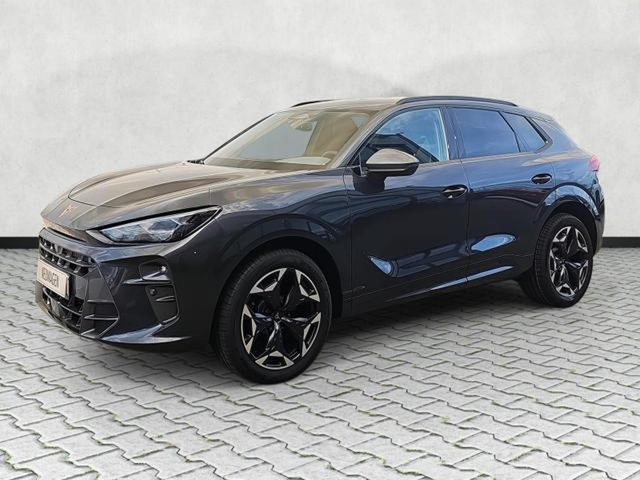 Cupra Terramar 2.0 TSI 195 kW 4Drive VZ (2026) - Foto 3