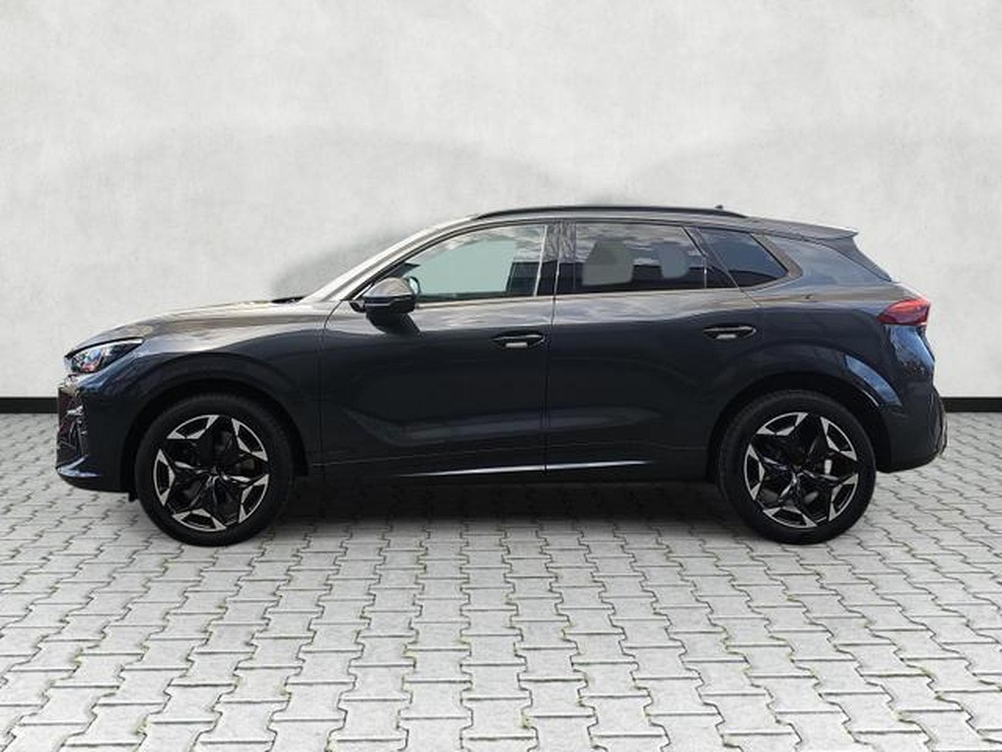 Cupra Terramar 2.0 TSI 195 kW 4Drive VZ (2026) - Foto 4