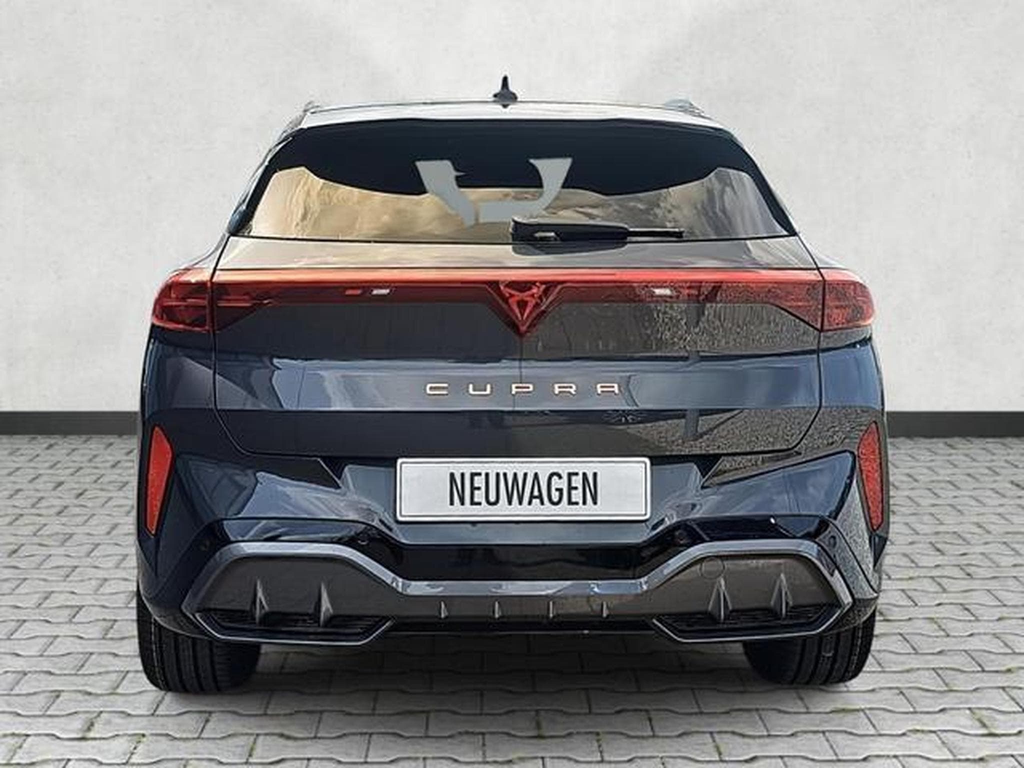 Cupra Terramar 2.0 TSI 195 kW 4Drive VZ (2026) - Foto 6