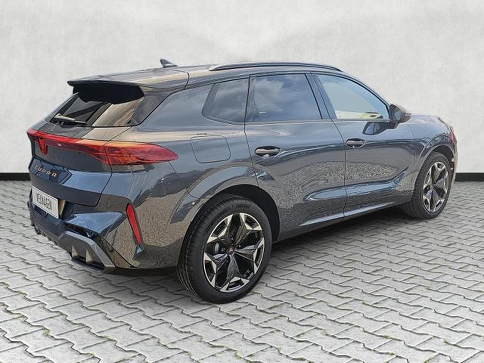 Cupra Terramar 2.0 TSI 195 kW 4Drive VZ (2026) - Foto 7