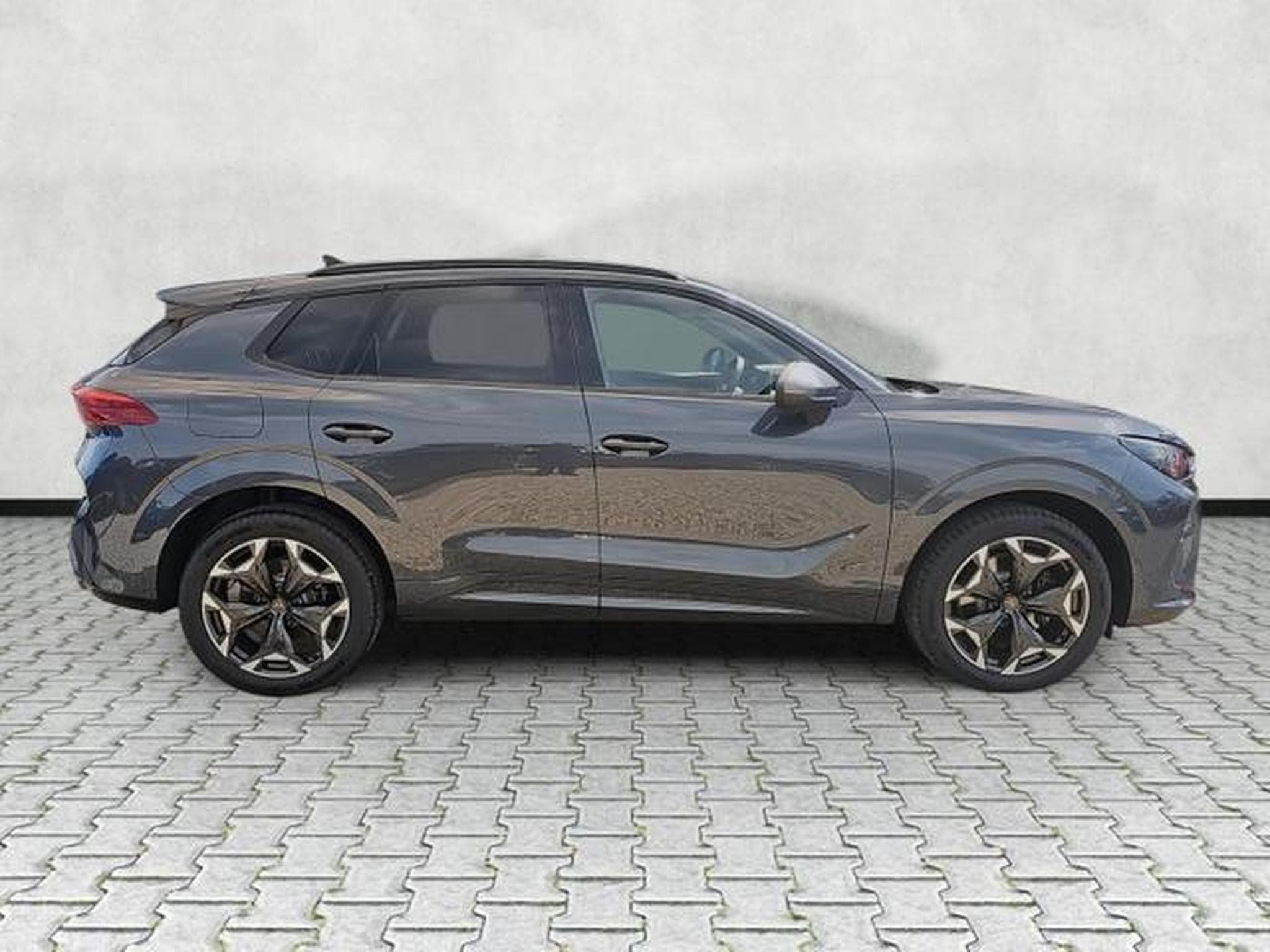 Cupra Terramar 2.0 TSI 195 kW 4Drive VZ (2026) - Foto 8