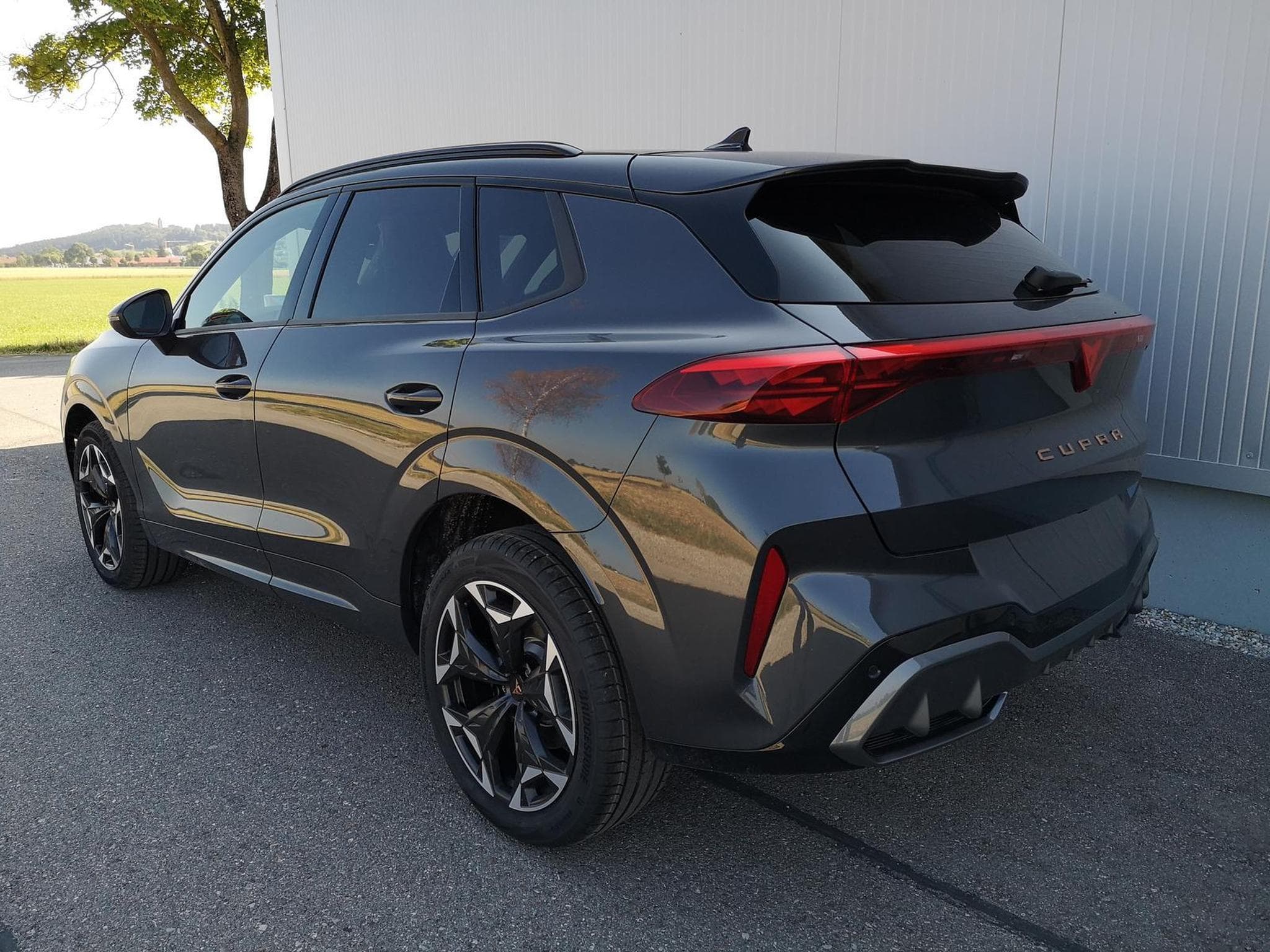 Cupra Terramar 2.0 TSI 195 kW 4Drive VZ (2026) - Foto 2