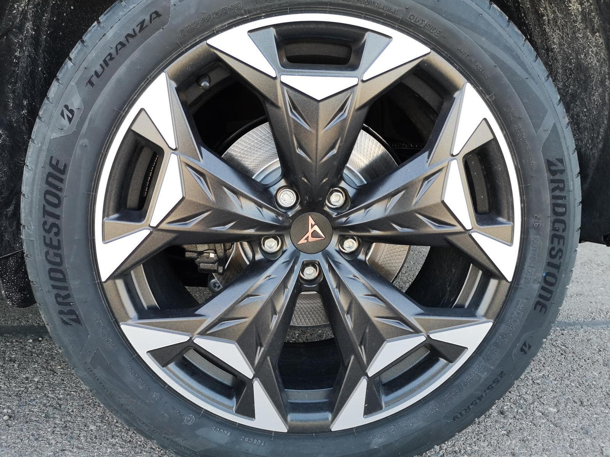 Cupra Terramar 2.0 TSI 195 kW 4Drive VZ (2026) - Foto 4