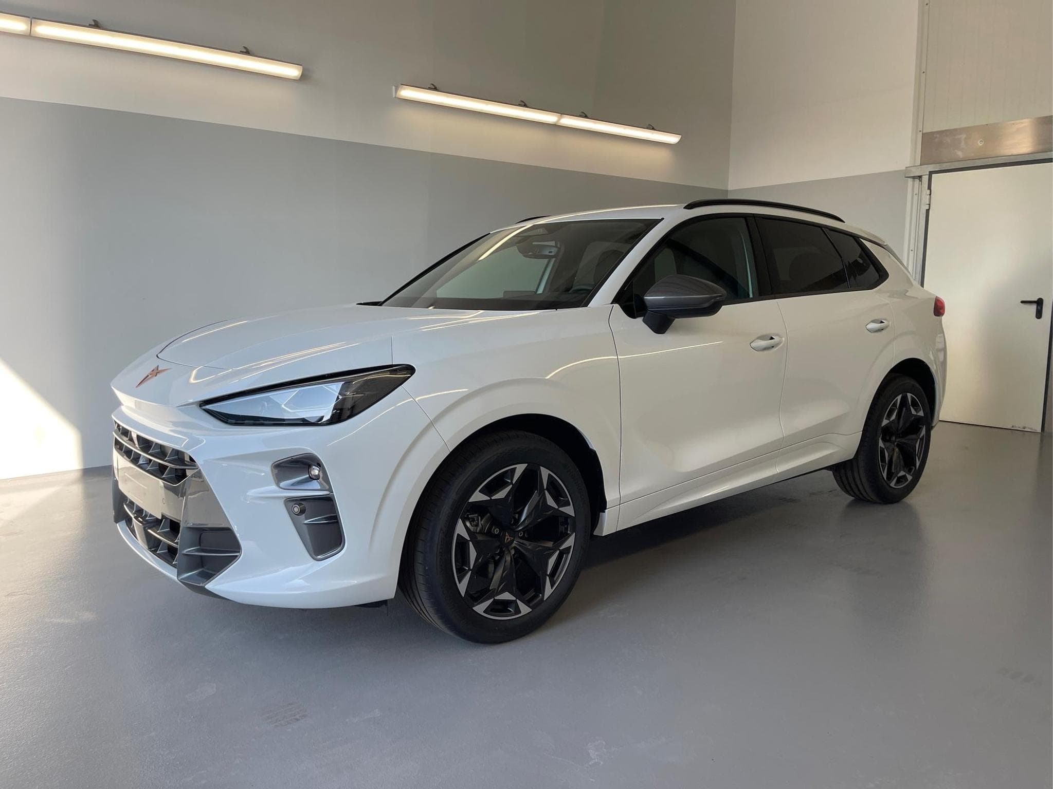 Cupra Terramar Terramar (2026) - Foto 1