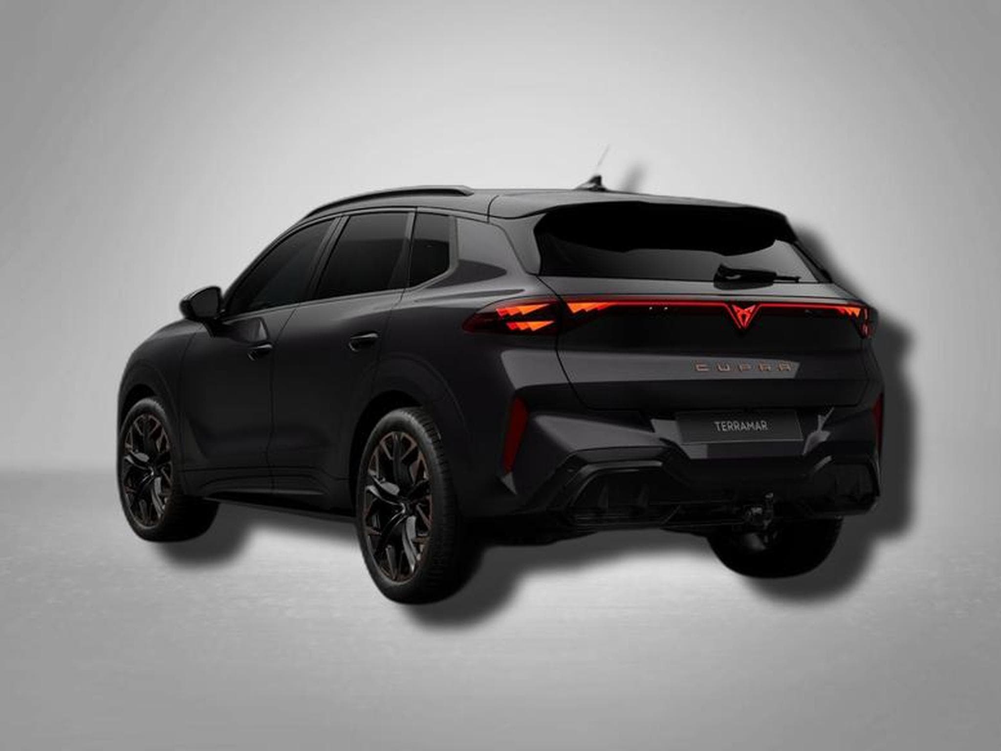 Cupra Terramar VZ 2.0 TSI 7-Gang-DSG 4Drive (2026) - Foto 3