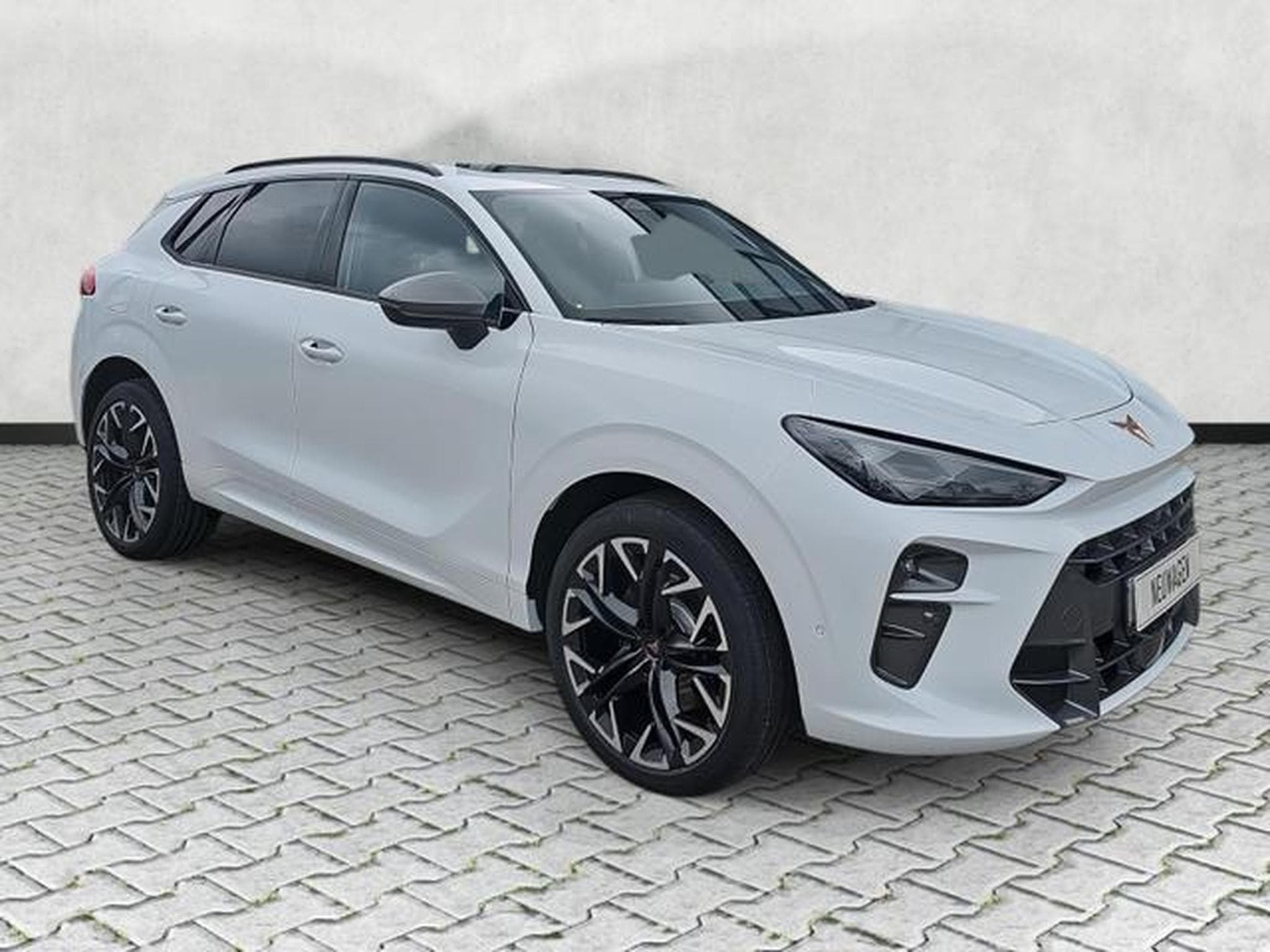 Cupra Terramar 2.0 TSI 195 kW 4Drive VZ (2026) - Foto 1
