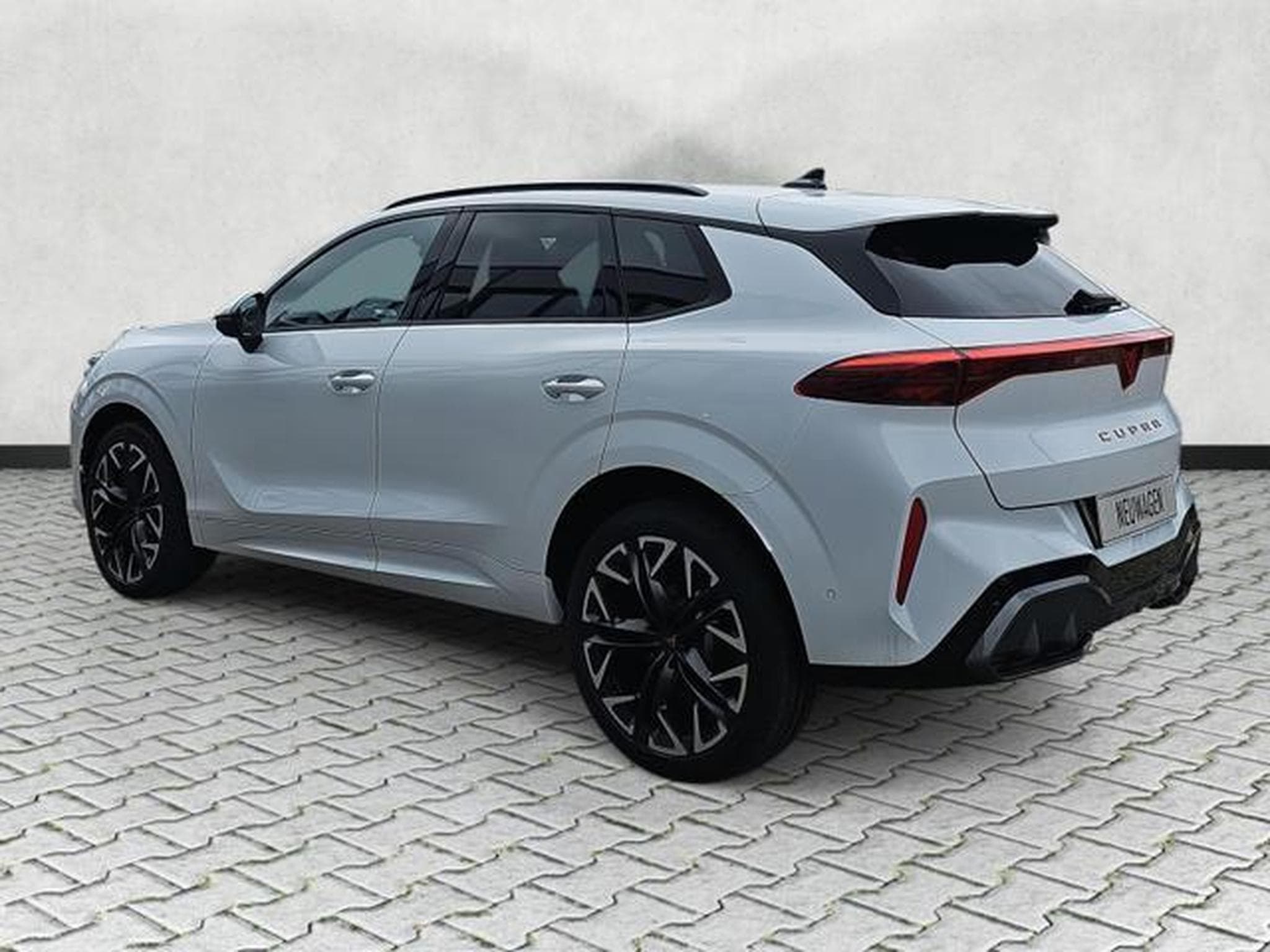 Cupra Terramar 2.0 TSI 195 kW 4Drive VZ (2026) - Foto 5