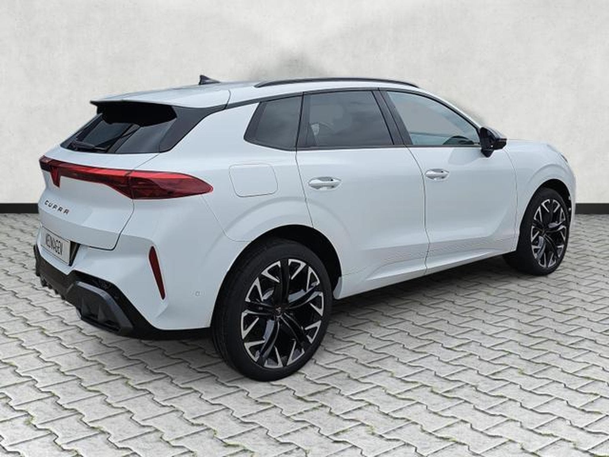 Cupra Terramar 2.0 TSI 195 kW 4Drive VZ (2026) - Foto 7