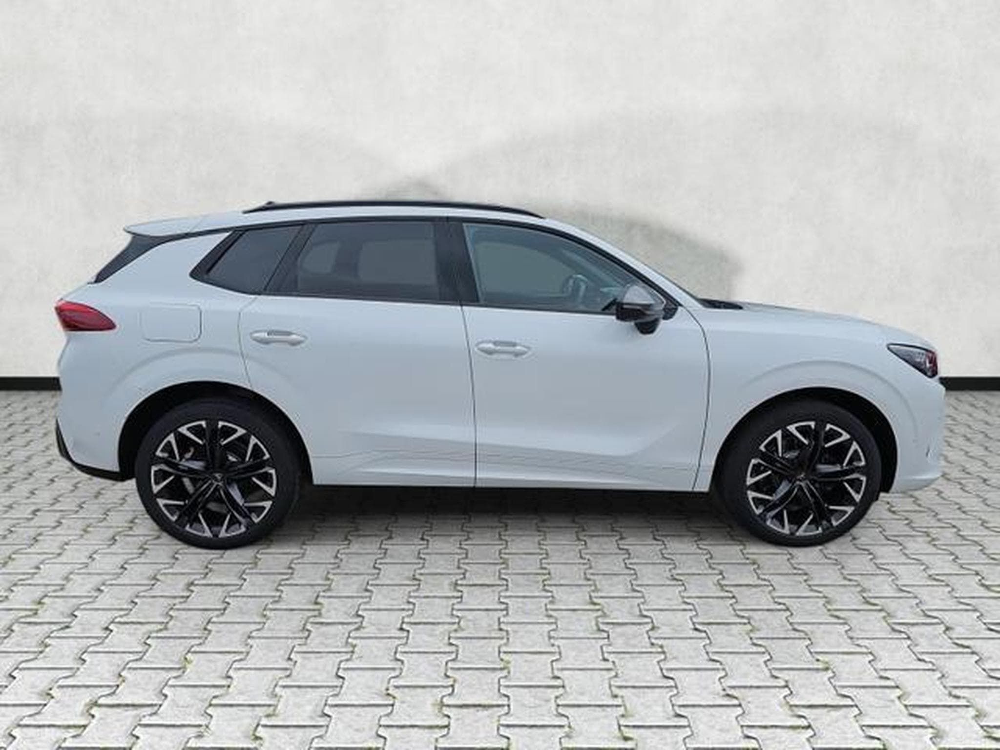 Cupra Terramar 2.0 TSI 195 kW 4Drive VZ (2026) - Foto 8