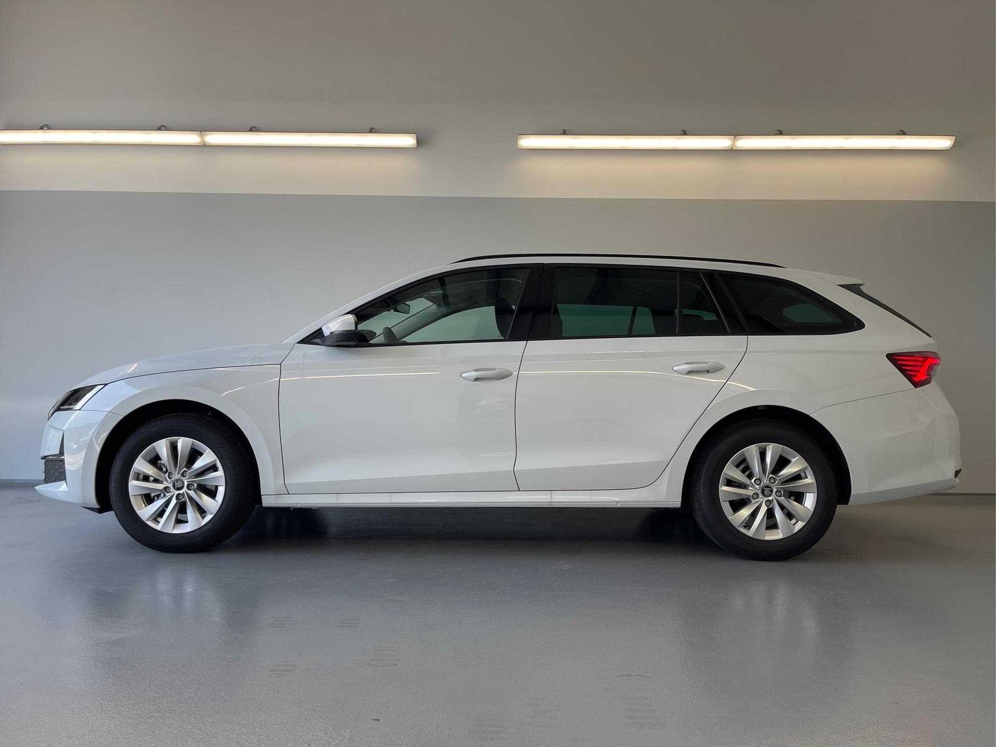 Skoda Octavia Selection (2026) - Foto 3