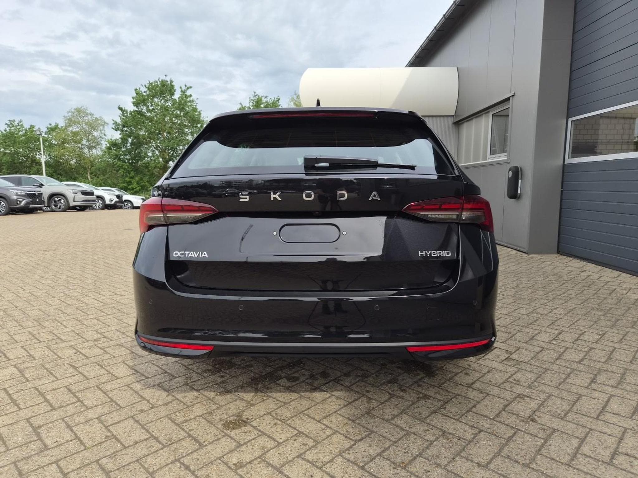 Skoda Octavia 1.5 TSI 150PS (2026) - Foto 3