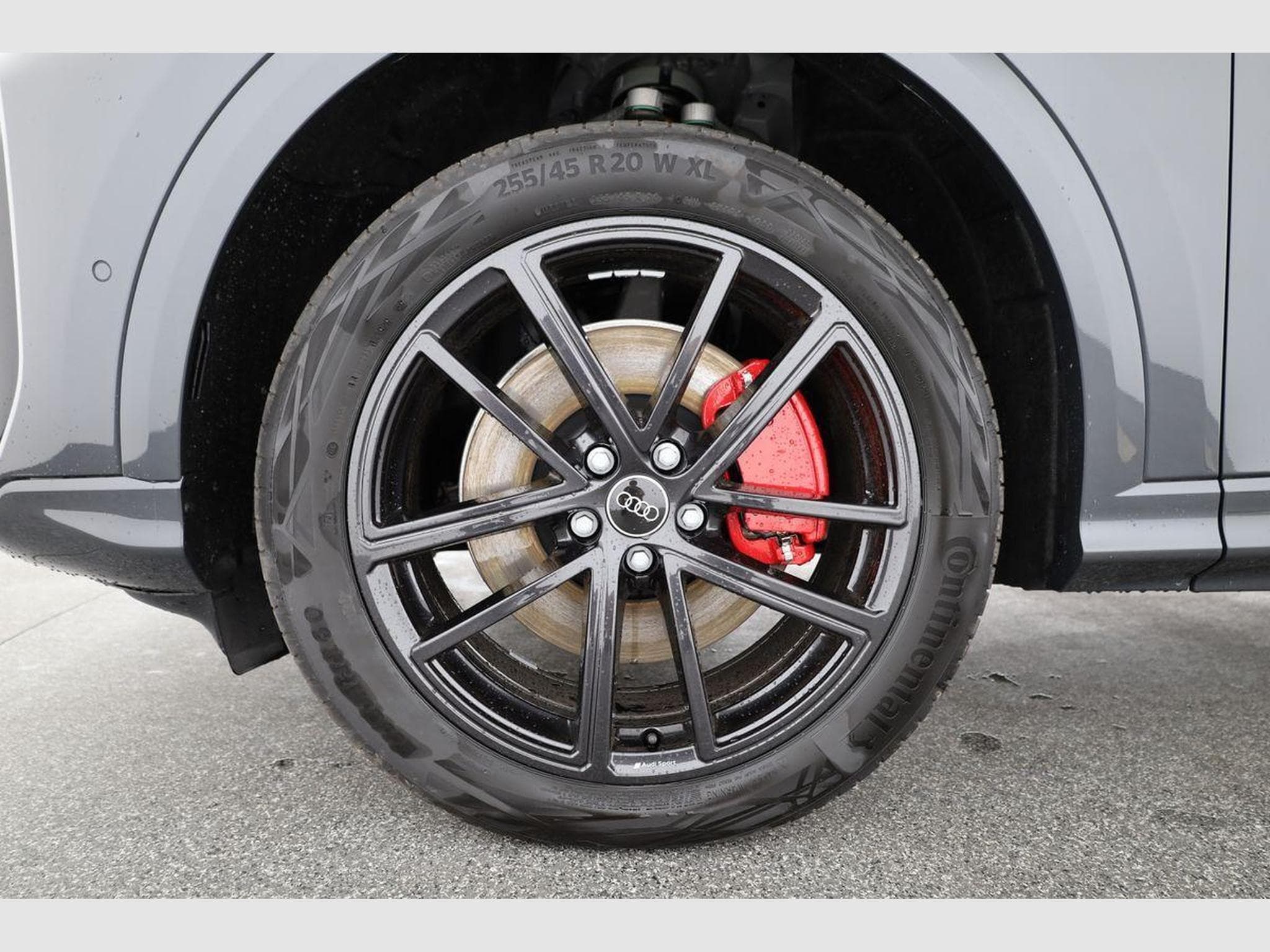 Audi Q5 3.0 TDI quattro 220 kW (2026) - Foto 16