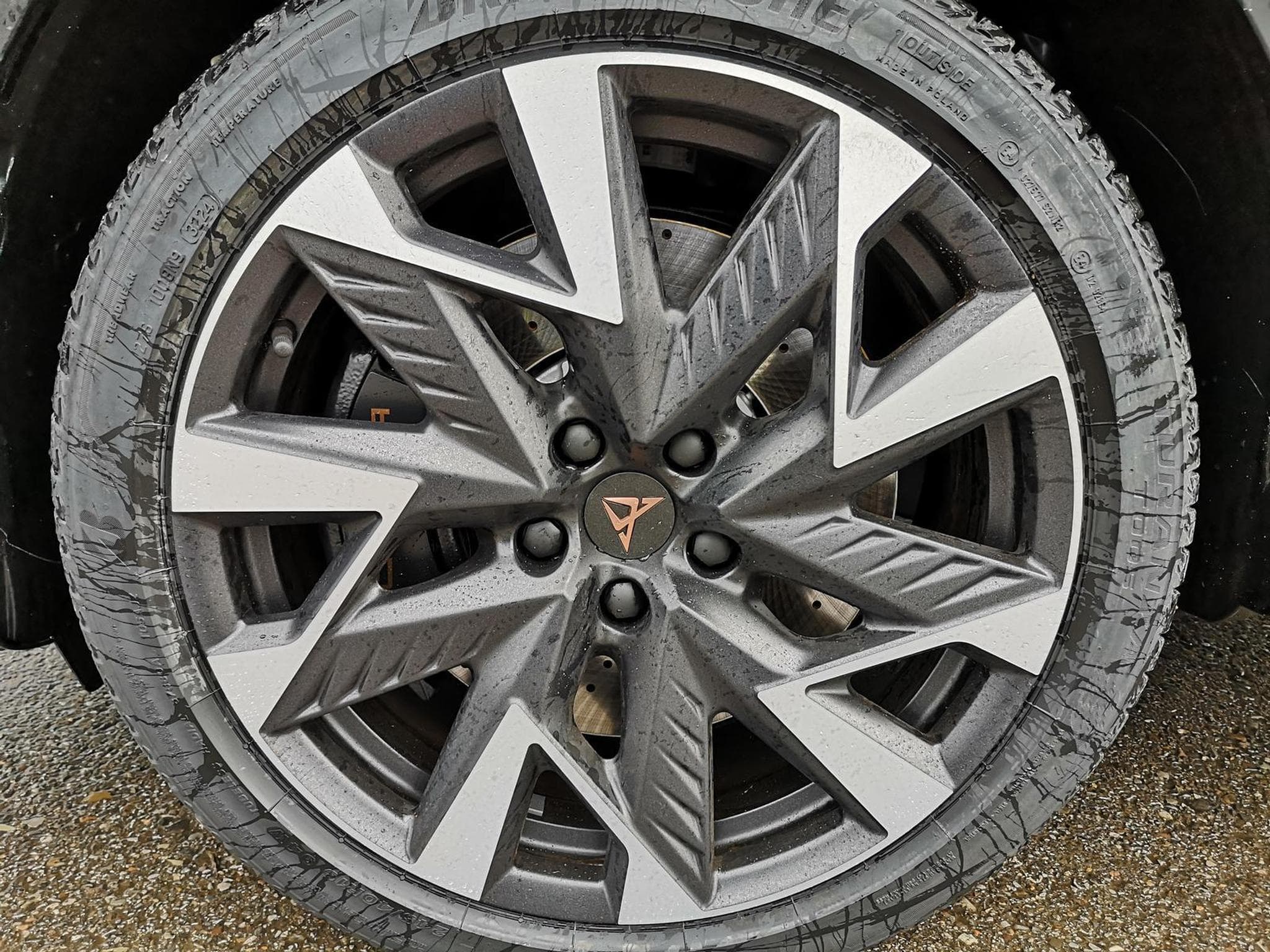 Cupra Formentor VZ 2.0 TSI 245 kW 4Drive (2026) - Foto 3