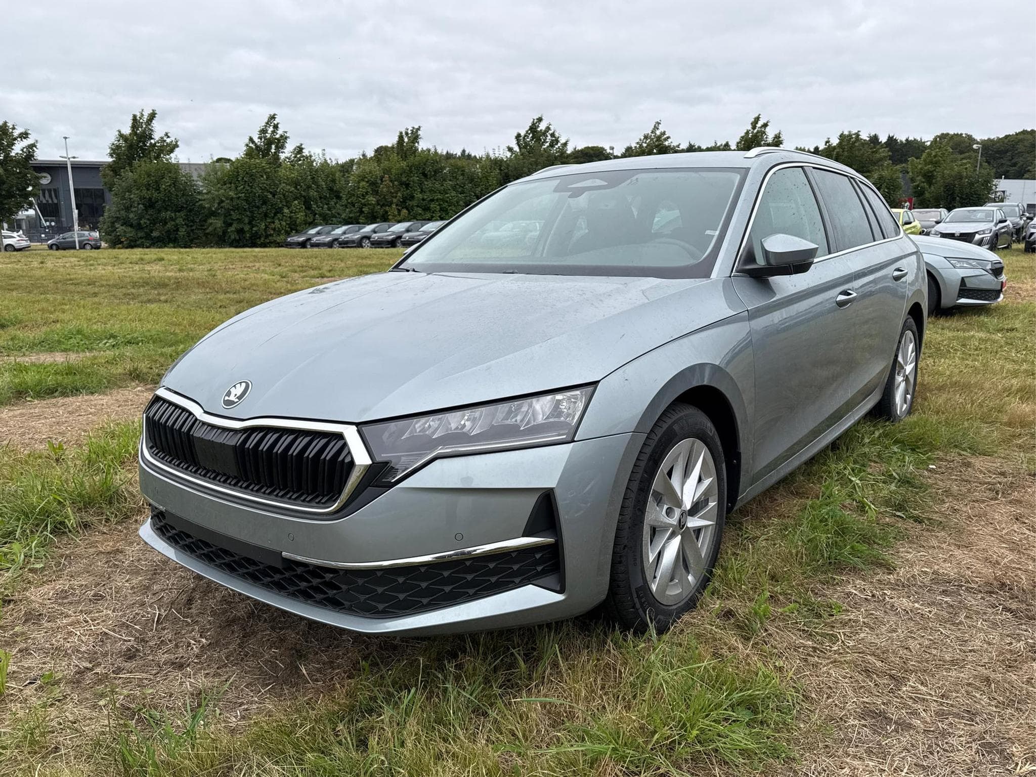 Skoda Octavia Selection (2026) - Foto 1