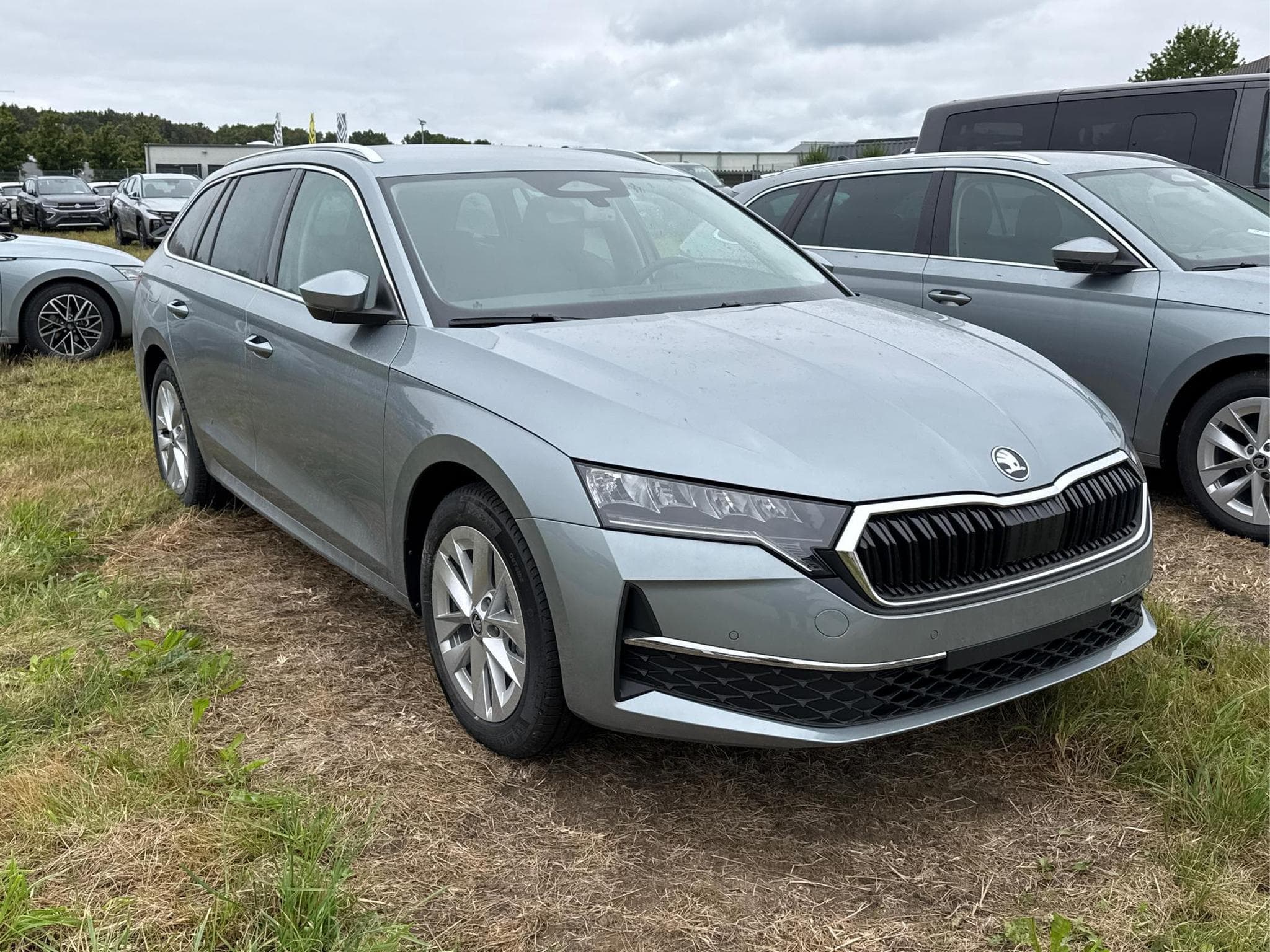 Skoda Octavia Selection (2026) - Foto 3