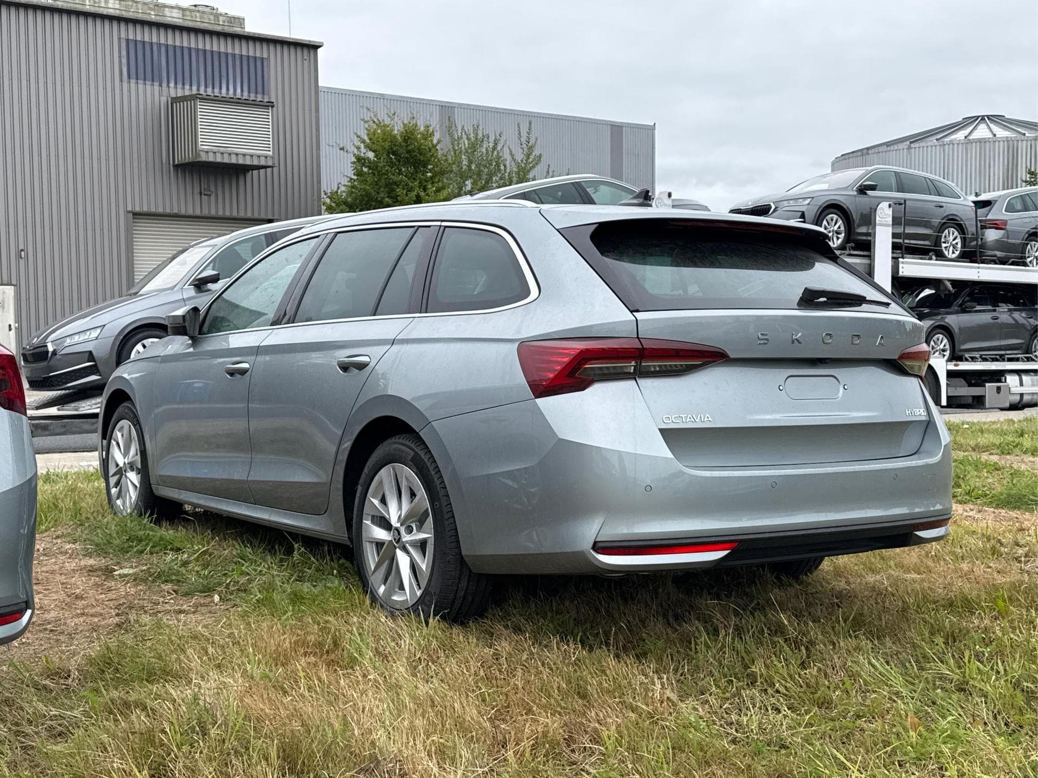 Skoda Octavia Selection (2026) - Foto 7