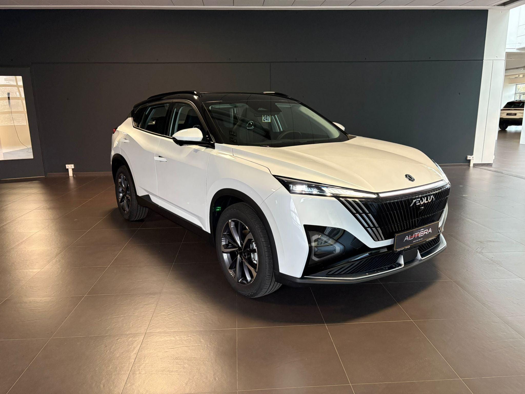 DONGFENG MAGE
