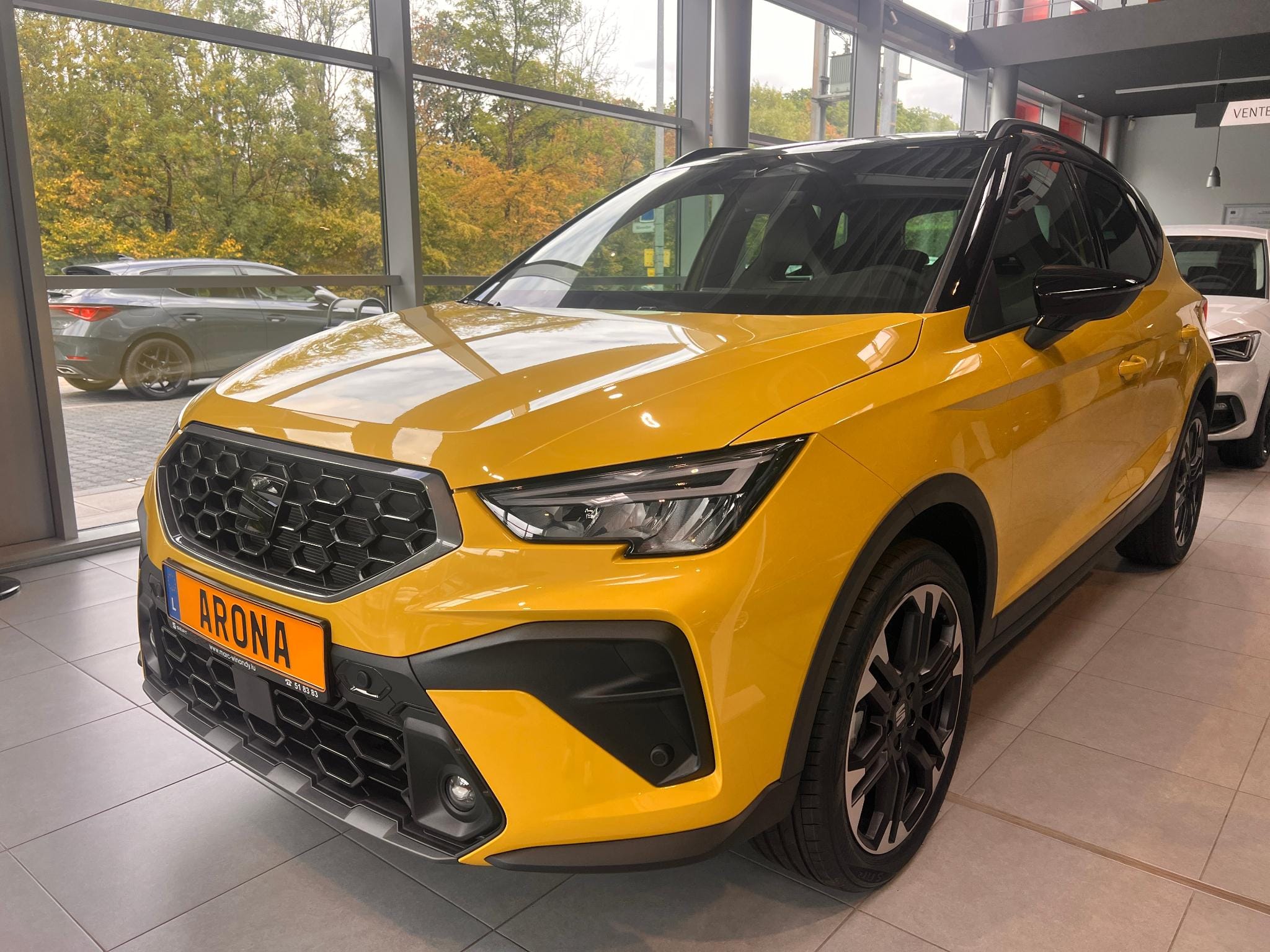 Seat Arona