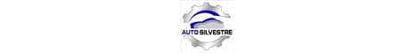 Logo AUTO SILVESTRE
