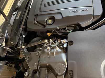 Jaguar F-Type Coupé P300 / Meridian / Pano / 19" (2021) - Photo 5