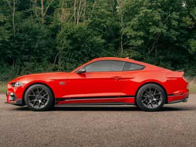 Ford Mustang Mach 1 (2021) - Photo 1