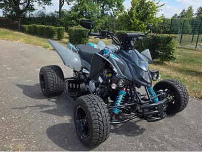 Aeon Cobra Access smf 490 efi (2025) - Photo 1