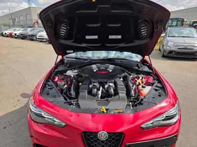 Alfa-Romeo Giulia QUADRIFOGLIO 2.9 V6 BI-TURBO 520 AT8 (2024) - Photo 14