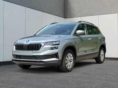 Skoda Karoq Selection (2026) - Photo 1