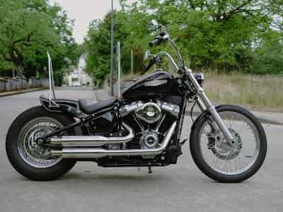 Harley-Davidson Softail Standard Custom FXST (2021) - Photo 3