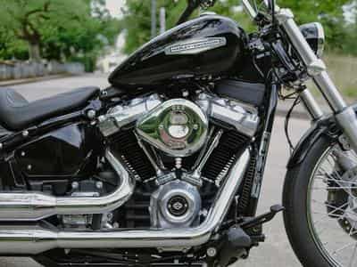 Harley-Davidson Softail Standard Custom FXST (2021) - Photo 4