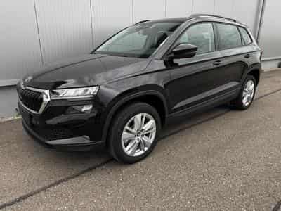 Skoda Karoq Selection (2026) - Photo 1