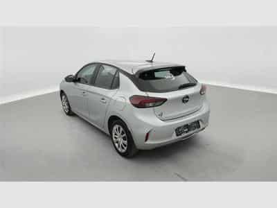 Opel Corsa 1.2i Business S/S (2024) - Foto 2
