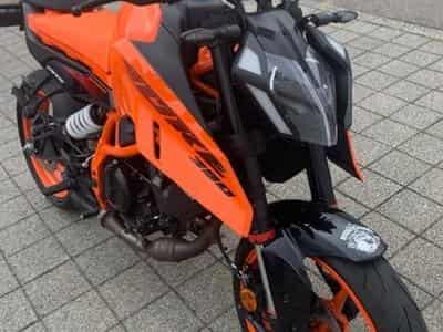 KTM Duke KTM 390 DUKE A2 (2024) - Photo 5
