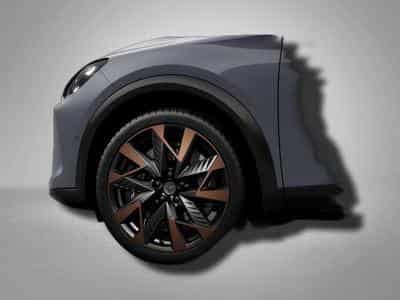 Cupra Formentor VZ 2.0 TSI 7-Gang-DSG 4Drive (2026) - Photo 4
