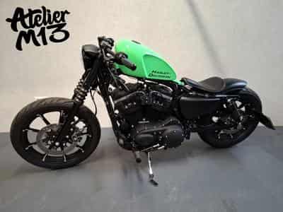 Harley-Davidson Sportster XL883N Green Racing (2015) - Photo 2