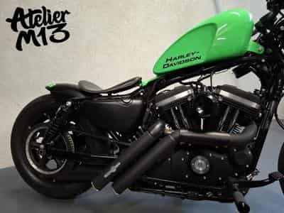 Harley-Davidson Sportster XL883N Green Racing (2015) - Photo 6