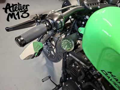 Harley-Davidson Sportster XL883N Green Racing (2015) - Photo 13