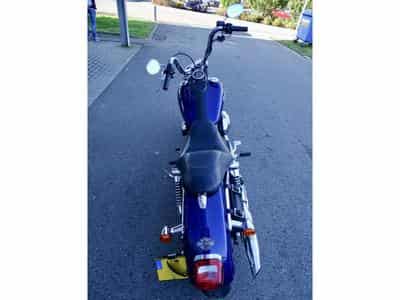Harley-Davidson Dyna Street Bob 1450 SUPER PREIS SUPER PRICE (2006) - Photo 6