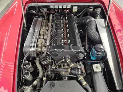 Maserati 3500 GT Touring Superleggera Matching and NEW make offer (1959) - Photo 14