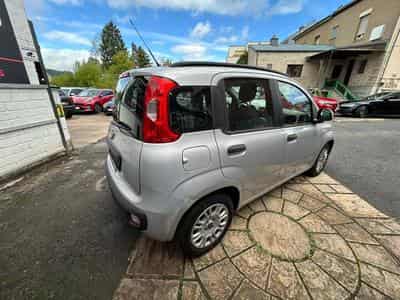 Fiat Panda 1.2 69cv (2013) - Photo 6