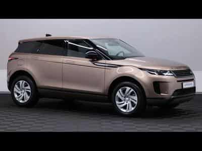 Land-Rover Range Rover Evoque D165 S AWD Auto (2025) - Foto 3