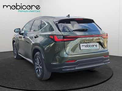 Lexus NX 350h (2022) - Foto 5