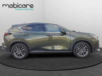 Lexus NX 350h (2022) - Foto 7