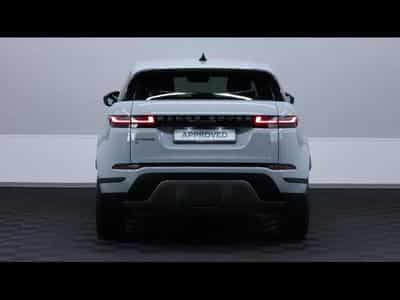 Land-Rover Range Rover Evoque D165 S AWD Auto (2025) - Photo 6