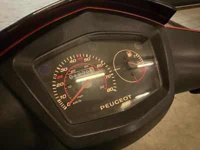 Peugeot Kisbee 1279KM! (2019) - Photo 8