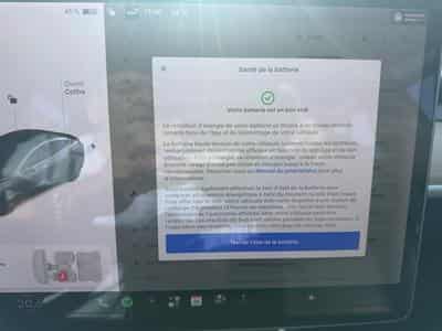 Tesla Model 3 239 KW - 325 CV STANDARD PLUS (2019) - Photo 14