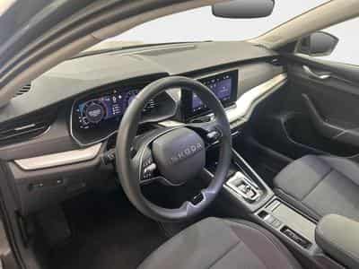 Skoda Octavia Selection (2026) - Foto 12