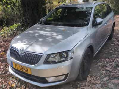 Skoda Octavia Octavia III 4x4 (2013) - Photo 1