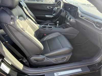 Ford Mustang 5.0 FASTBACK V8 GT MAGNERIDE 446CV (2025) - Photo 9